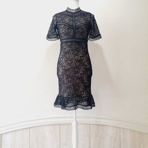 Bardot Lace Dress